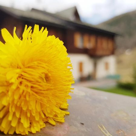 Baita Gen Livigno Ngoại thất bức ảnh
