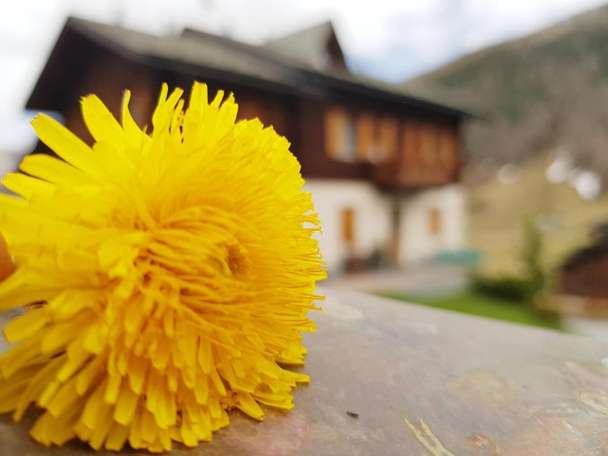 Baita Gen Livigno Ngoại thất bức ảnh